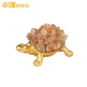 【命運好好玩】湯鎮瑋-黃晶簇聚財錢龜鎮