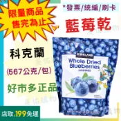 科克蘭 藍莓乾 567公克👉 *現貨【好市多公司貨＆電子發票】《Costco 好市多》
