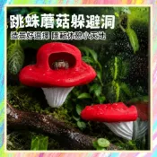 ★爬蟲新樂園★[台灣現貨]跳蛛蘑菇躲避洞 一組兩個 吸盤式設計 穩固牢靠 可愛蘑菇造型 造景首選 提供跳蛛隱蔽躲避的空間