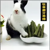 現貨 甜竹 草棒 鼠兔點心 黑麥草 提摩西 苜蓿草 燕麥草 果樹草 兔子零食 甜竹 兔子飼料 小麥草 草餅