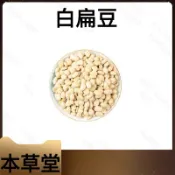 本草堂 白扁豆 扁豆衣 白扁豆花 100-500克