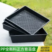 【 育苗盤 】加厚芽菜育苗盤穴盤芽苗菜托盤育苗盆發豆芽箱種植盒瑪卡盤豆芽盒芽菜盤育苗盤種菜盤