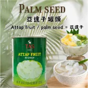 泰國🇹🇭TAS ATTAP FRUIT IN SYRUP 亞達子 罐頭 565g Palm seed