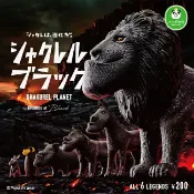 sightme看過來購物城 全套6款【日本正版】戽斗動物園 黑子篇 扭蛋 轉蛋 BLACK篇 厚到動物 厚道星球 熊貓之穴 - 887598