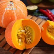 （最新日期採收）紅貝貝南瓜種子NG-2 紅色迷你栗子南瓜紅貝貝南瓜種子栗子般的口感農家爬藤蔬菜種子