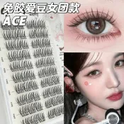 ✨Hannah✨陞級短款ACE女團假睫毛加寬梗清透根根分明透明梗韓係自然仿真9mm假睫毛 JM0J