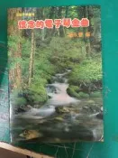 立誼音樂叢書 懷念的電子琴金曲(二) 趙永豐 立誼 歌譜 樂譜 無劃記 H23