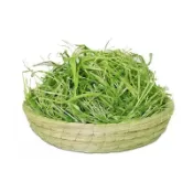 【青青草原寵物館】適合陸龜牛羊小寵牧草 一割二割提摩西苜蓿燕麥草甜小麥百慕達綜合牧場無熏製