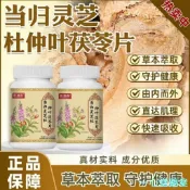小紅書💥免運🔥在臺🔥善維濰森當歸靈芝杜仲葉茯苓片 當歸 靈芝 杜仲葉 茯苓片 耳鳴 當歸靈芝杜仲葉茯苓片