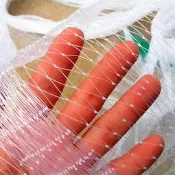 【滿300出貨】防鳥網櫻桃葡萄果樹果園防鳥網天網泥鰍魚塘防護pe網養殖網