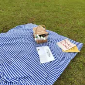 喜挖2店 風一次性條紋野餐墊戶外地墊露營行動式沙灘墊防水沙灘布塑膠