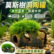魚缸造景水草陶罐 活體莫斯水榕 躲避屋 魚蝦窩 水族箱裝飾 淡水缸佈置 自然造景用品 新手養魚適用必備