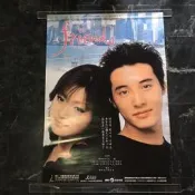 深田恭子 元斌 friends 官方海報