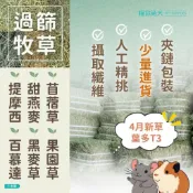 【過篩牧草 】貓你兔犬 提摩西 提摩西二割 牧草 兔子牧草 草磚 甜燕麥 牧草 苜蓿草 黑麥草 試吃包