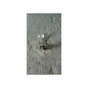 (店+)4分-8英吋不銹鋼管箍 白鐵束環 不鏽鋼ST水管夾 喉箍 水管卡扣 軟管管夾_粗俗俗五金大賣場