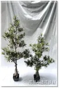 ◎花語人造花資材◎人造樹＊4尺造型羅漢松盆＊櫥窗~店面陳列~會場景觀~造景佈置