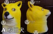 乳膠巴哥狗面具 柴犬秋田犬面具狼狗黑貓面具巴哥犬面具鬥牛犬沙皮狗秋田狗頭(萬聖節COS變裝頭套cosplay老皮探險活寶