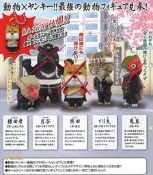 扭蛋 動物X 學校 動物高校生(單售貓咪含運)