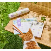 🔹派皮小舖🔸現貨😍陶板屋x SOUSOU抗UV 折疊傘+2027年手帳（不含買一送一券）￼