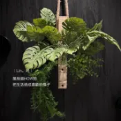 ｜Lin。好｜龜背葉搭配金錢草、水草。仿真植物  實木掛板。台灣現貨