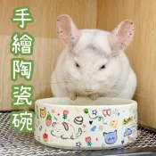 🏡龍貓安親班-板橋店🏡［台灣現貨］手繪插畫陶瓷碗 可愛圖案 多巴胺配色 食盆 牧草盆 飼料盆 龍貓 兔子 天竺鼠