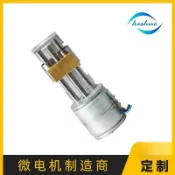 金牌五金工具 廠家生產微型步進滑臺電機 直線導軌滑臺電機 20MM小步進馬達 批發