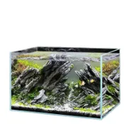 風鈴草百貨 【透明超白】魚缸 五線玻璃 多尺寸選擇 龜缸 造景溪流 水族愛好者適用stdexcept
