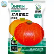 【原廠包裝】紅貝貝南瓜（Red Baby Pumpkin）25粒裝。日本紅皮栗子南瓜種子 栗子口感香甜 家庭陽台菜園