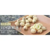 💜 開賣囉～100%㊣白河【新鮮現採蓮子 vs帶膜帶芯蓮子／長粒蓮子】小農販賣 • 自產自銷批發！