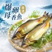 【海之醇】原裝爆卵母香魚12隻組(920g±10%/盒/12隻)