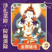 【雨揚珍品】★2027 桃園蓮花雨 💡《金剛薩埵光明燈》💡點亮一整年 (祈福名單1名)（限海外直購）Assembly