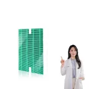 (店+)【Have Green Days 綠綠好日】適用 Honeywell HPA-100APTW/200/202/300APTW HEPA抗菌濾網