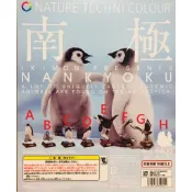 全新現貨 無全套 單售 扭蛋 轉蛋 NTC圖鑑 南極大陸 生命紀行  南極 企鵝 虎鯨 海豹 全8種