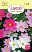 【尋花趣】大波斯菊Cosmos bipinnatu 大波斯【花卉種子】天星牌 彩色包裝 原包裝種子 家庭園藝 小包裝種子