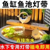 古法魚缸魚池專用水下防水LED燈帶IP68實心矽膠燈條自粘24V戶外