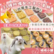 啃啃小鋪🥕獨家人氣兔鼠手工草餅/任選10片折10元｜花草水果點心/兔子零食/天竺鼠零食/兔子草餅/天竺鼠牧草餅/倉鼠磨牙