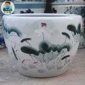 睡蓮花盆青花瓷碗蓮荷花花盆水缸魚缸種鐵樹發財樹花盆庭院特大陶瓷養魚缸