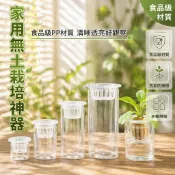 台灣出貨✨ 水培定植籃 無土植物種植籃 玻璃花瓶固定器 圓形綠蘿吊蘭器皿 25號32號45號規格 固根器專用