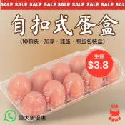 🔥台灣免運 現貨速出🔥自扣式蛋盒 10格 10顆 10粒裝 蛋盒 雞蛋盒 鴨蛋盒 塑膠蛋盒 雞蛋收納盒 一次性蛋盒