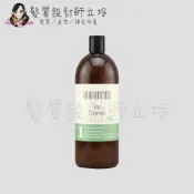 (店+)【ABBA】立坽『頭皮調理洗髮精』凱蔚公司貨 ABBA 舒暢凝露1000ml scalp
