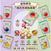 《胖頭龍批發工廠》MOMI 摩米特級凍乾  天然果乾 小動物 零食 草餅 零食 磨牙 點心倉鼠 兔子 天竺鼠 龍貓