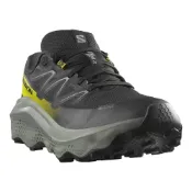 (店+)【salomon】所羅門 男 防水越野跑鞋 ULTRA FLOW 2 GORE-TEX 黑/石灰/酸漿黃 L47883200 綠野山房