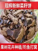 菜籽餅淝撂農家現榨枯粉塊種菜種花嗵勇有機淝撂釣魚打窩料