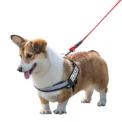 (店+)寵物 迷彩胸背衣 寵物胸背 胸背衣 胸背帶 胸衣 防暴衝 馬鞍型 狗鏈 牽繩 牽引繩 寵物外出【CW0008】