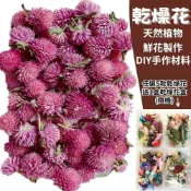 ALL SPLENDID 【A-ONE】千日紅 乾燥花材料包 永生花 浮油花 乾燥花DIY 乾燥花藝教學 自然精美花材料禮盒 A16