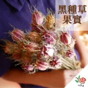 (店+)日本 大地農園 稀有 乾燥黑種草果實 黑種草 極度花燥 花材 配花 果實 永生花 乾燥花 不凋花 畢業季 畢業