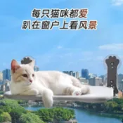 熱賣🔥台灣出貨🔥拉鍊網布吸盤貓床貓吊床四季通用吸盤式貓窩貓跳台掛窗戶貓床曬太陽貓咪掛窩寵物吊床窗邊貓床