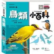 〈全新〉世一出版 兒童書【我是知識王(6)鳥類小百科(曹毓倫)】(2023年8月)(B688006-1)