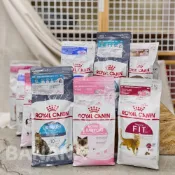 (店+)Royal Canin 法國皇家｜貓飼料 貓乾糧 10KG (K36 F32 IN27 IH34 UC33 S33)