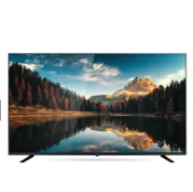 CHIMEI 奇美55型4K Google TV連網液晶顯示器無視訊盒 TL-55G300